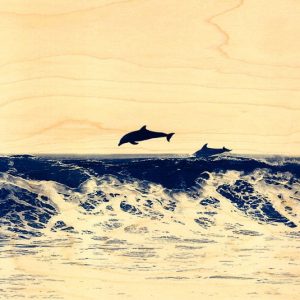 CARTE POSTALE BOIS DAUPHINS VAGUE